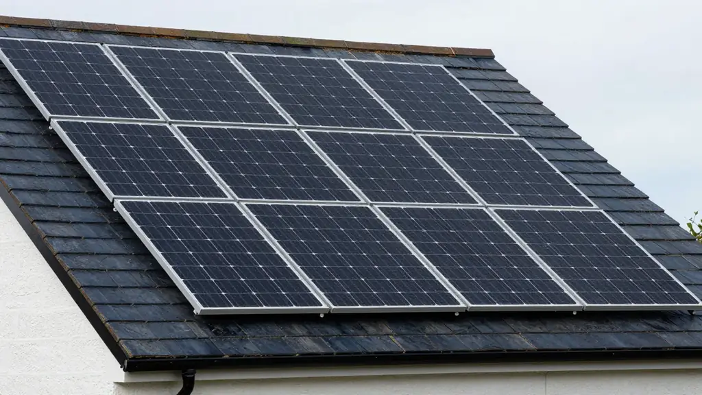 All-black solar panels sitting flush and uniform on a dark grey slate roof under a soft overcast sky